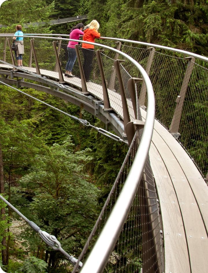 Capilano Suspension Bridge Park