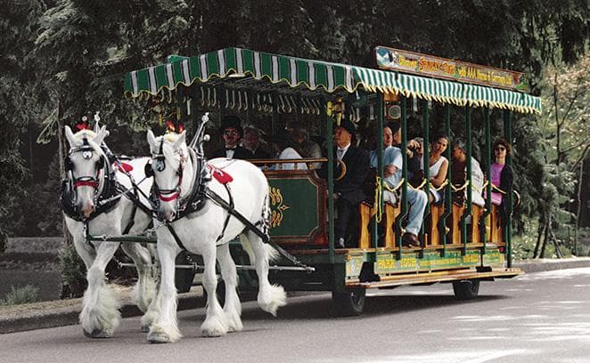 Stanley Park Horse-Drawn Tours