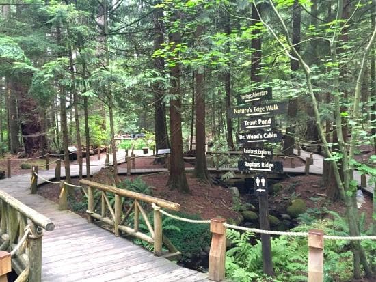 Nature's Edge Walk, Capilano Suspension Bridge Park | Photo: Bianca Bujan