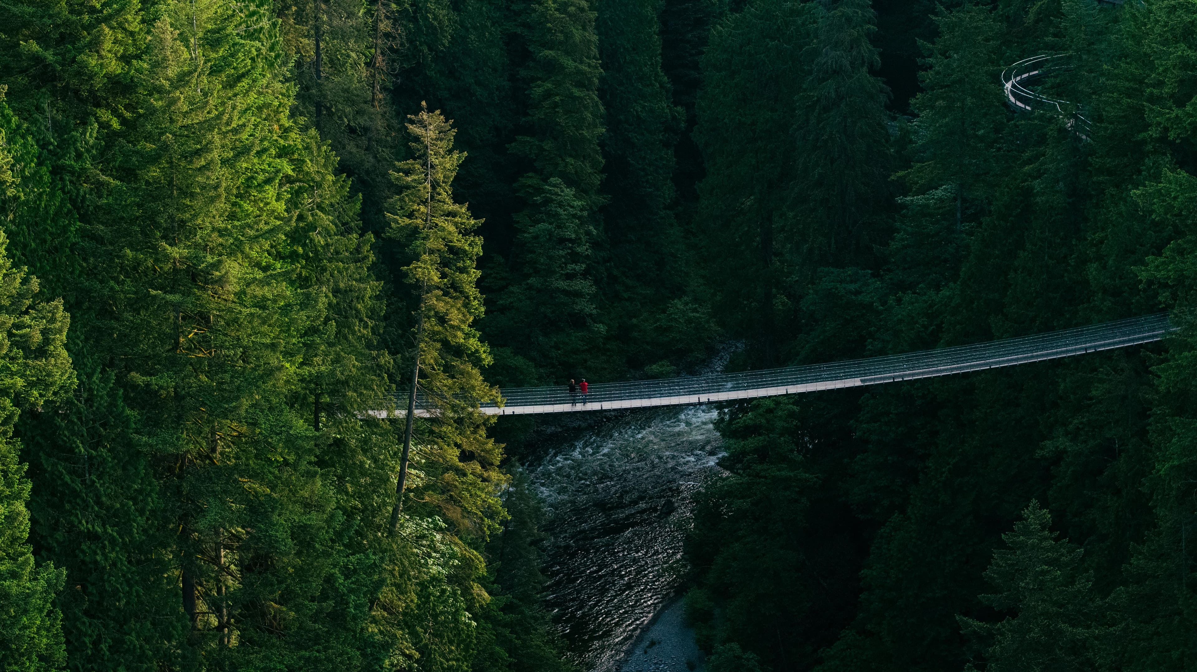 Capilano Suspension Bridge Park