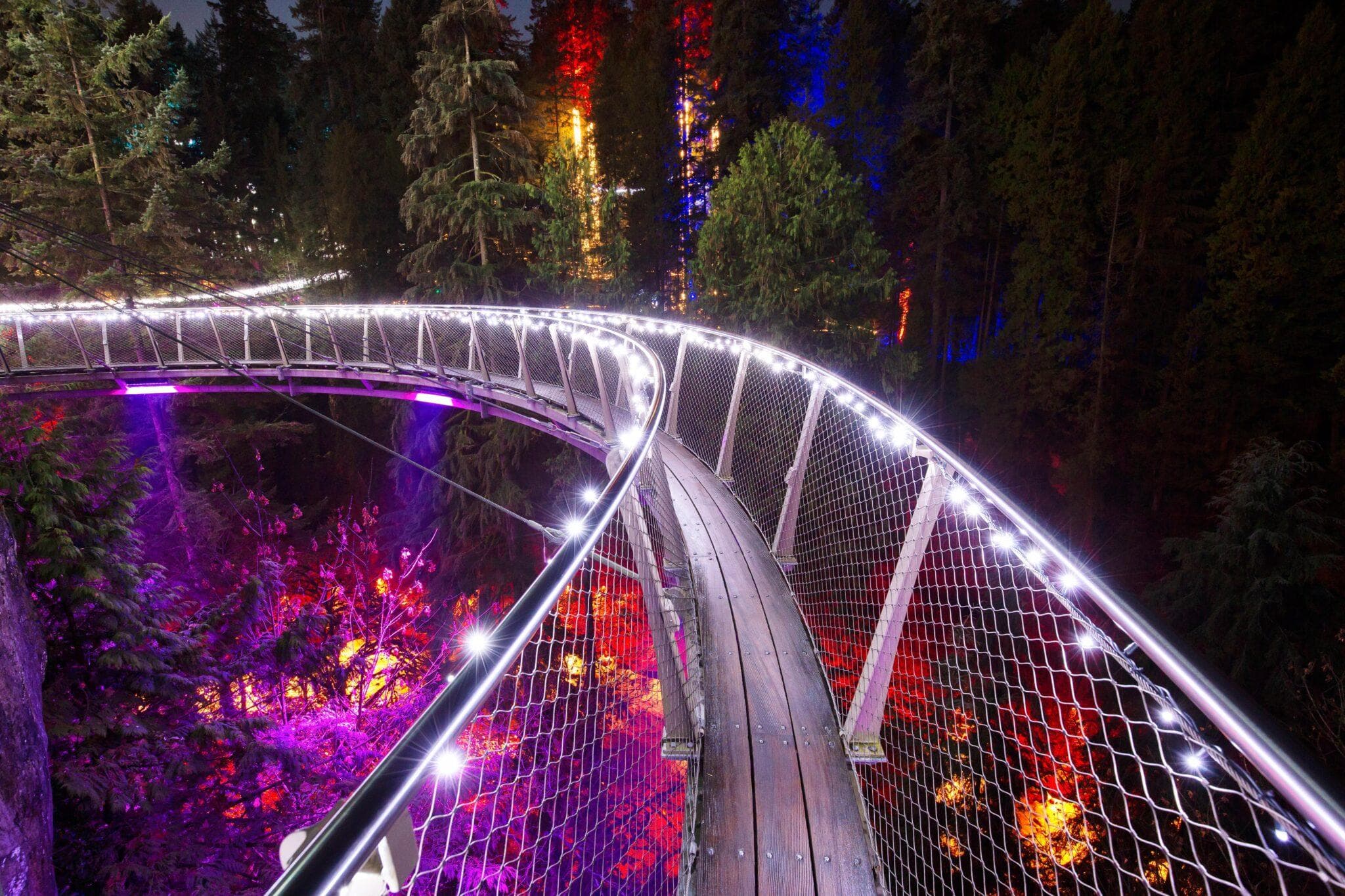 Love Lights at the Capilano Suspension Bridge